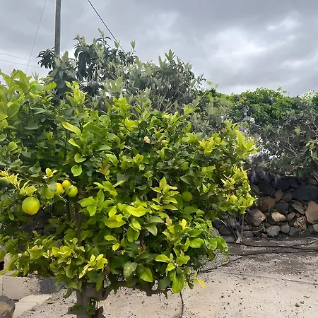 Mi Casita De Chimaca Vakantiehuis Arona (Tenerife)